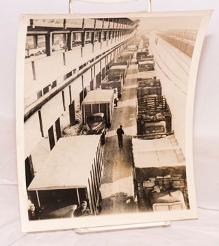 Cat.No: 130438 Pigs go to market [press photo