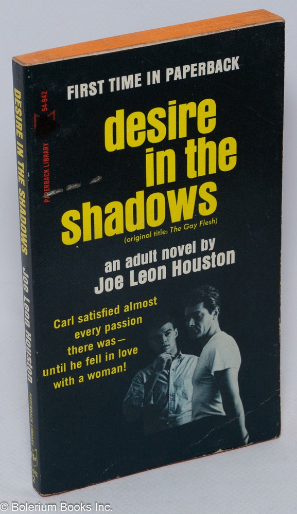 Cat.No: 145852 Desire in the Shadows (original title, Gay Flesh). Joe Leon Houston.