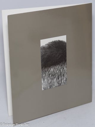 Getting Real: The Work of Gigi Janchang [essay by] Constance Lewallen