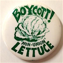 Cat.No: 204474 Boycott! Non-union lettuce [pinback button]. United Farm Workers.