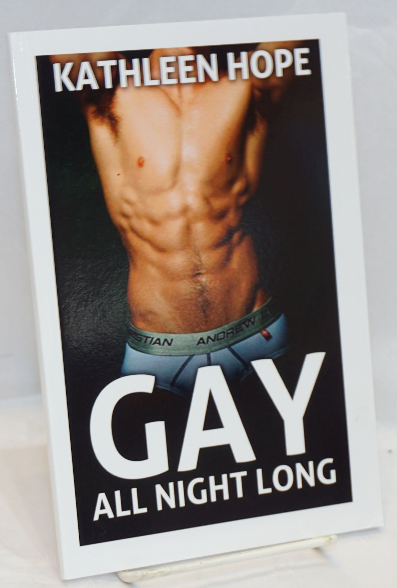 Gay All Night Long by Kathleen Hope on Bolerium Books