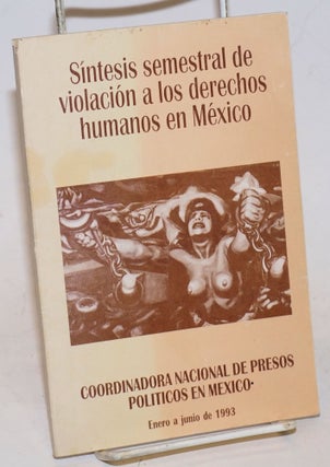 Cat.No: 230183 Síntesis semestral de violacion a los derechos humanos en México: Enero...