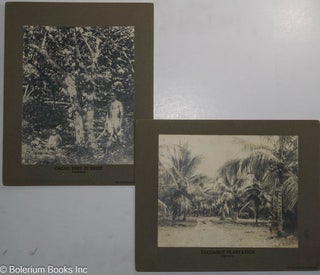 Cat.No: 250959 [Two photographs mounted on boards, prepared for the Philadelphia Museums