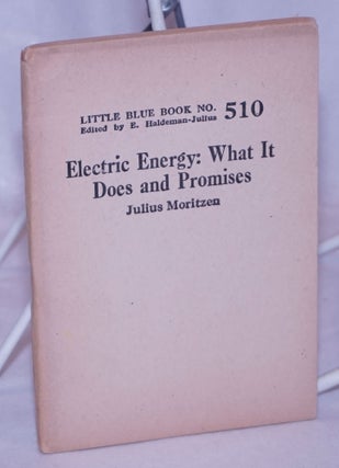 Cat.No: 264056 Electric Energy: What it Does and Promises. Julius Moritzen