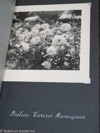 A Sua Excelencia O Mayor de Oakland. Recordacao dq Cidade de Nova Lisboa [aka Huambro]. 7 Junho 1956 [ms title].