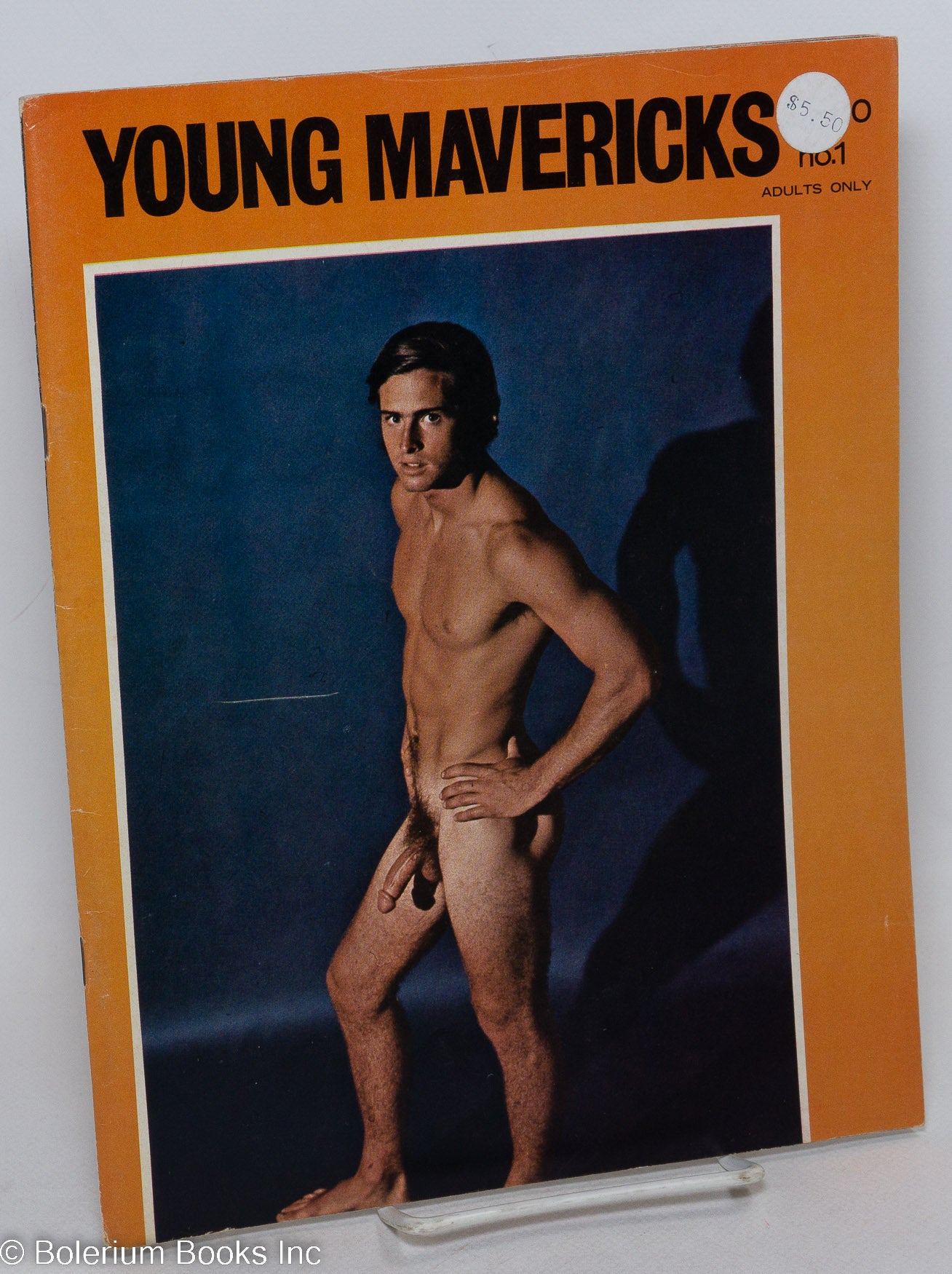 Young Mavericks the finest in nude male models; #1 Mark King, Ken Scott, Lance Williams, Jack Rabbit