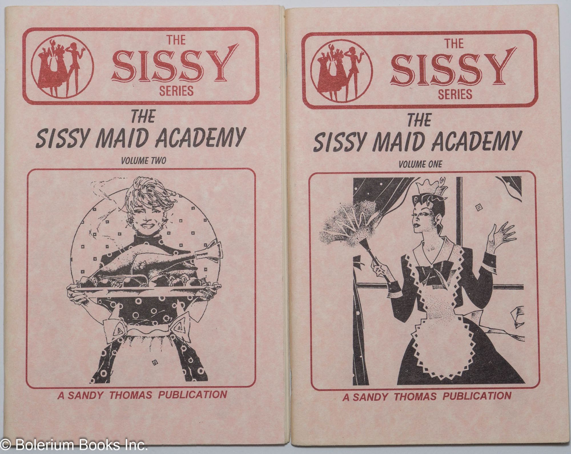 The Sissy Maid Academy: vol. 1 & 2 two books | Bobbie Ringgold