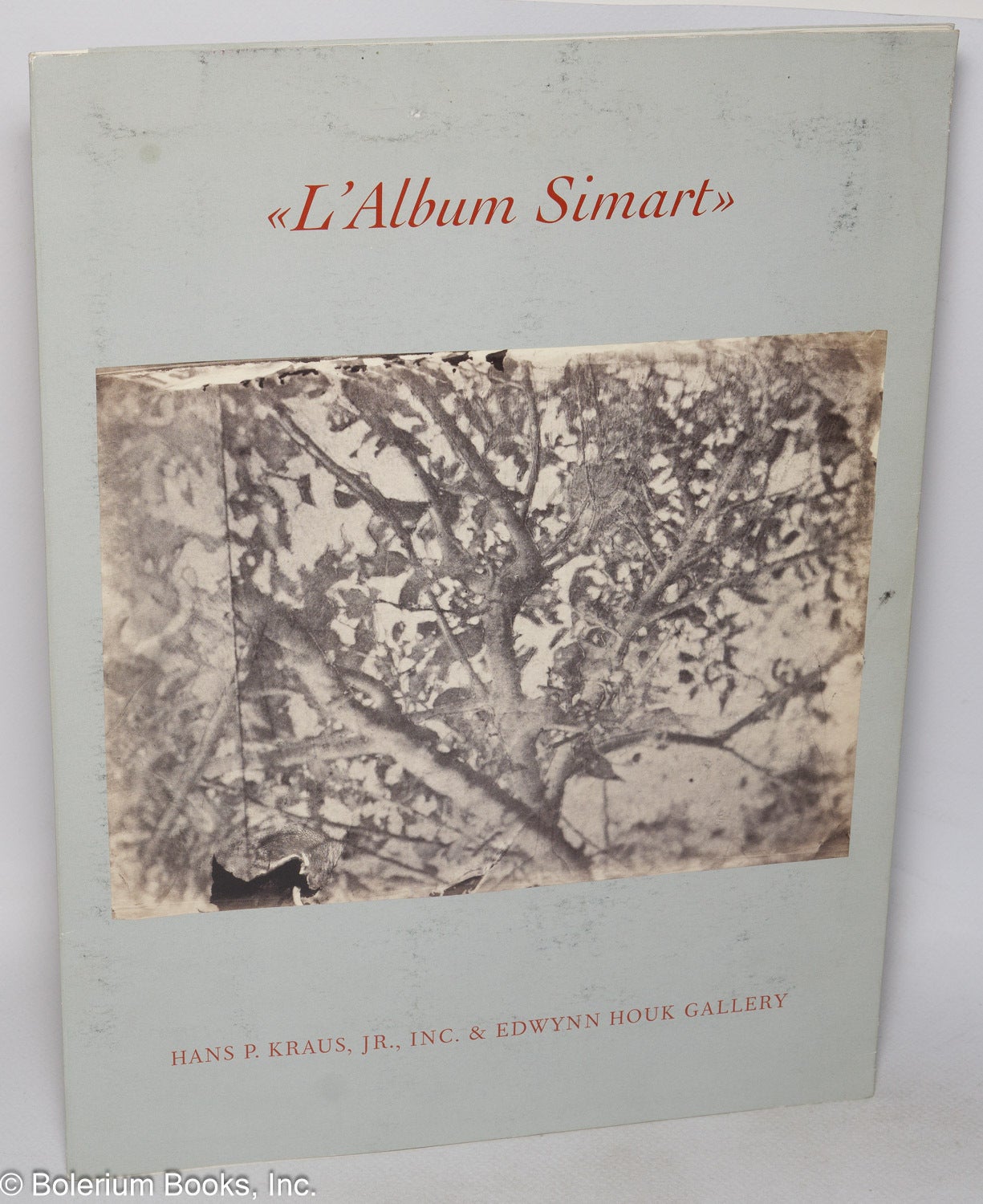 L'Album Simart: Selected salt prints from enlarged collodion negatives ...