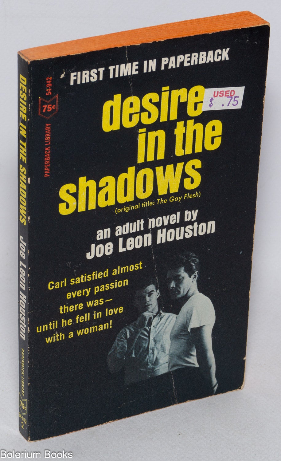 Desire in the Shadows original title, Gay Flesh by Joe Leon Houston on  Bolerium Books