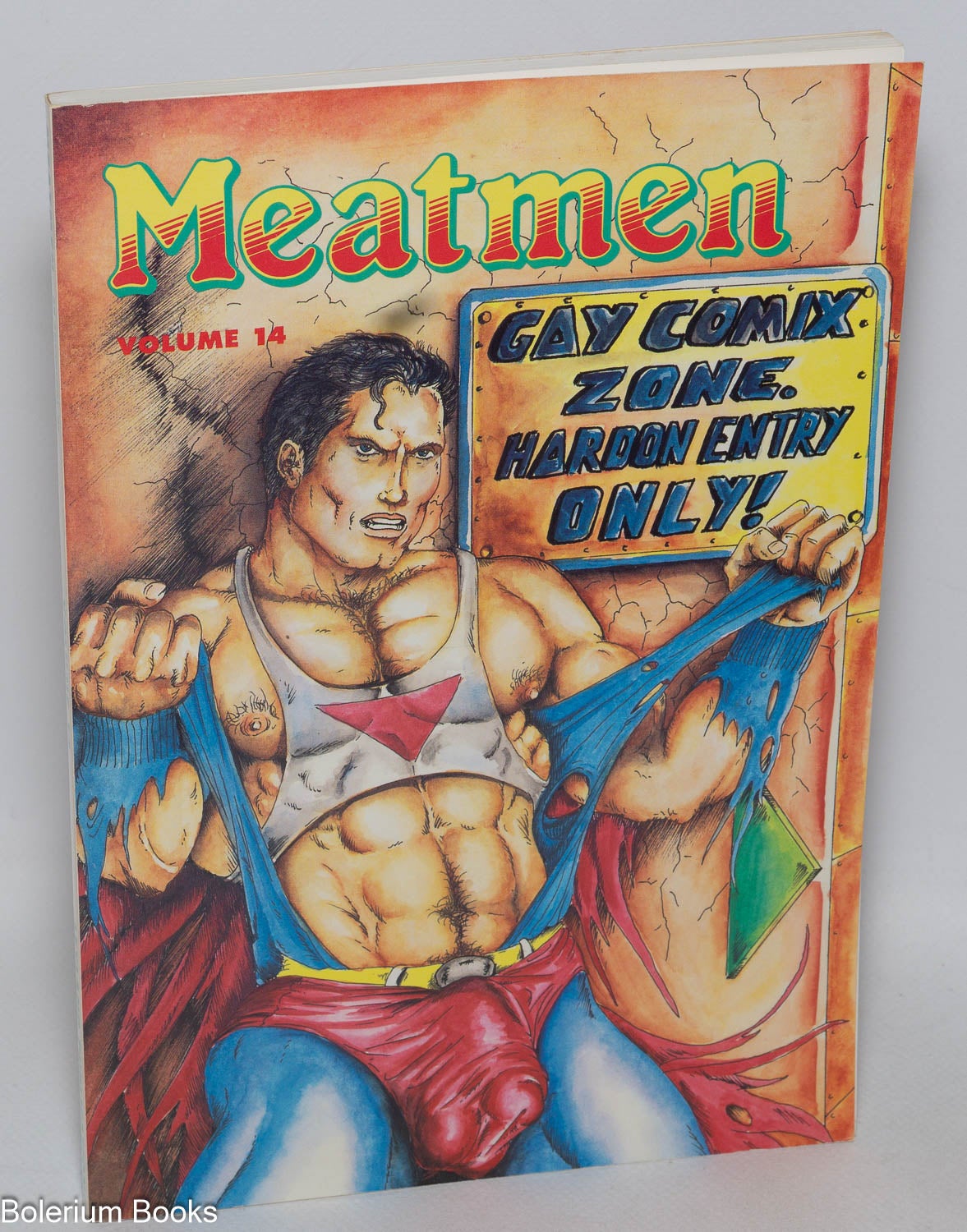 Meatmen; an anthology of gay male comics volume 14 by Winston Leyland, Sean  Stephen aka Etienne, Tom of on Bolerium Books