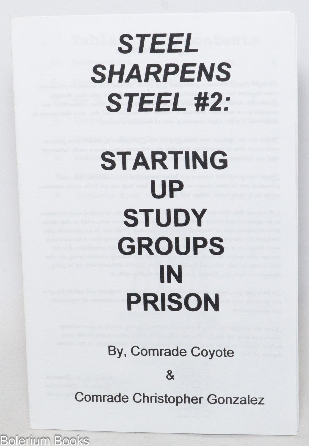 Steel Sharpens Steel #2: Starting Up Study Groups in Prison | Comrade ...