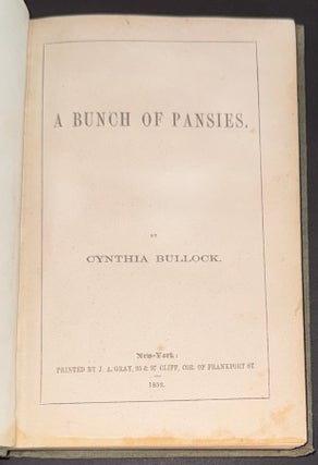 Cat.No: 350209 A bunch of pansies. Cynthia Bullock