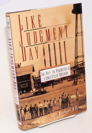 Cat.No: 37163 Like Judgment Day; the ruin and redemption of a town called Rosewood....