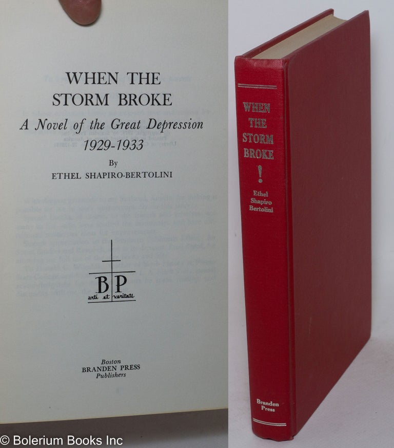 Cat.No: 38529 When the storm broke; a novel of the Great Depression, 1929-1933. Ethel Shapiro-Bertolini.