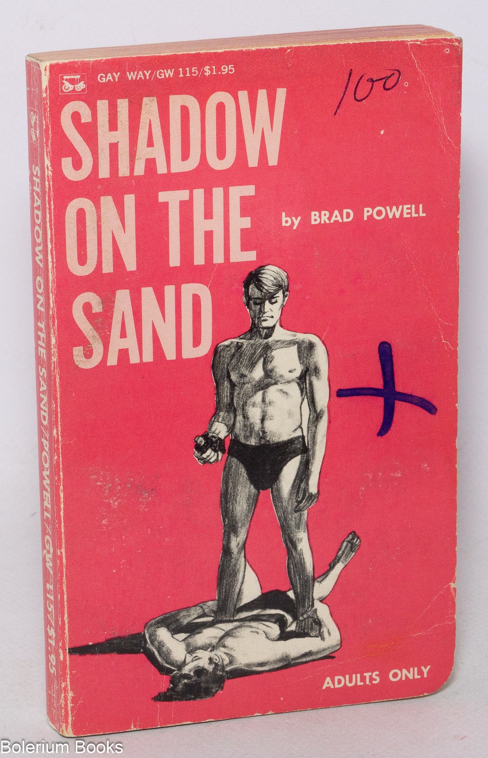 Shadow On the Sand | Brad Powell