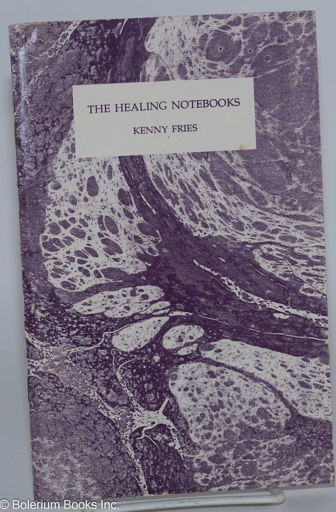 Cat.No: 48918 The Healing Notebooks. Kenny Fries.