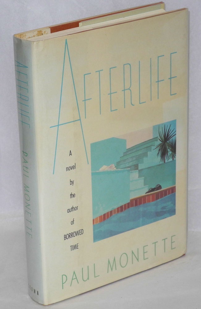 Cat.No: 9177 Afterlife a novel. Paul Monette.